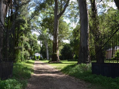 02 Camino Entrada